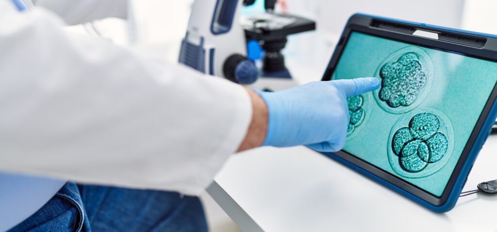 Frozen Embryo Transfer (FET): What to Expect, Timelines, Success Rates & Testing After IVF